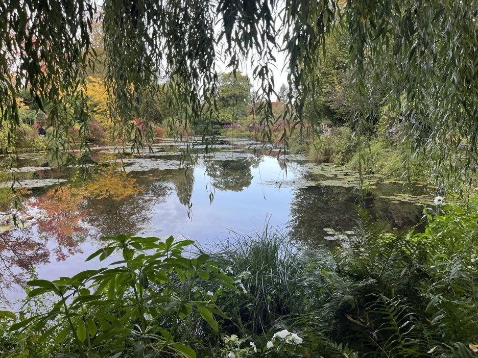 3EEE8B8F-72F9-4B43-BCD2-6B1F7D65BA02_1_102_o.jpeg?type=w1