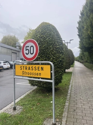 IMG_2778.jpeg?type=w386