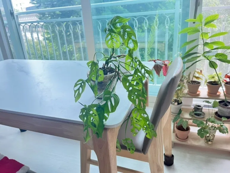 IMG_0718.jpg?type=w773