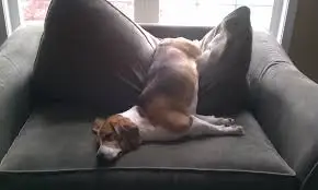 다운로드 (4).jpeg