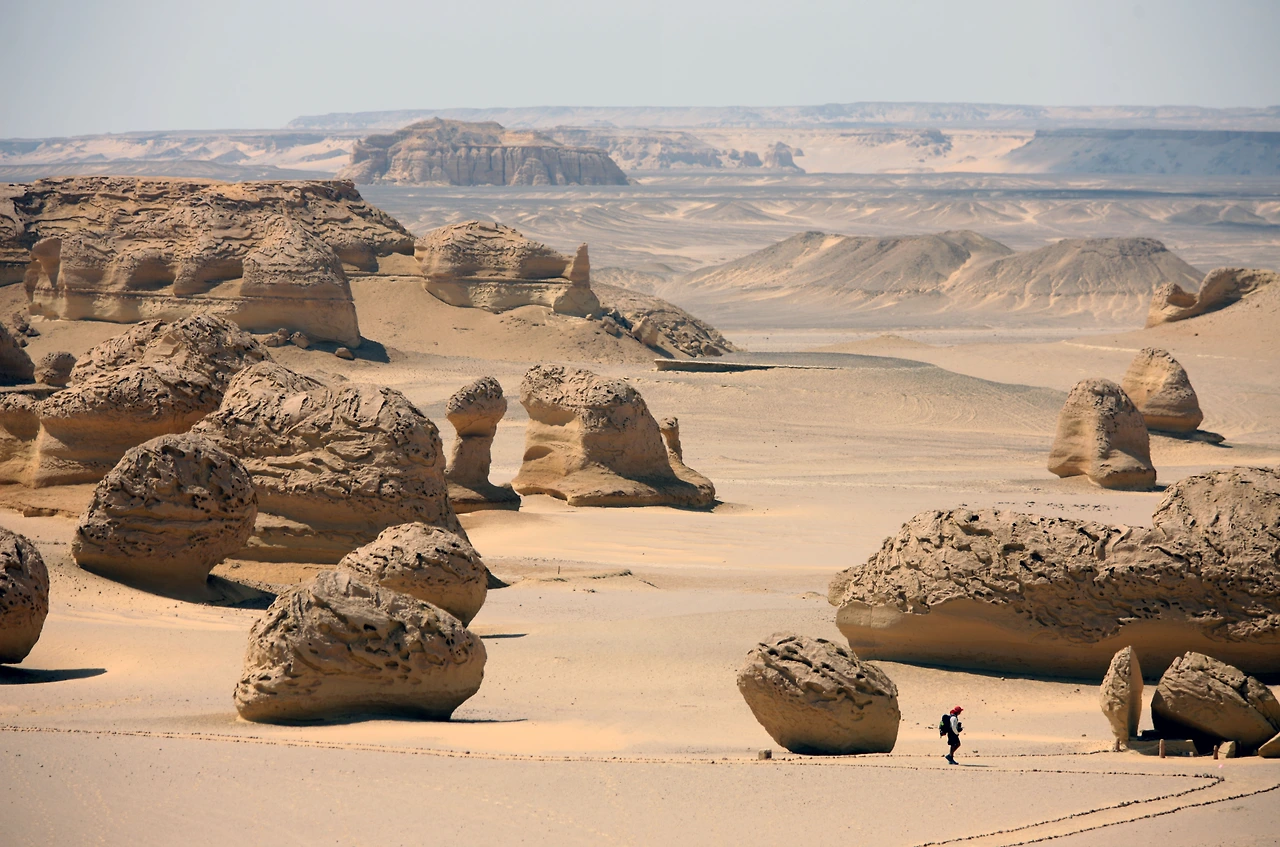 우리글31호(24년 5월호) 02.JPG