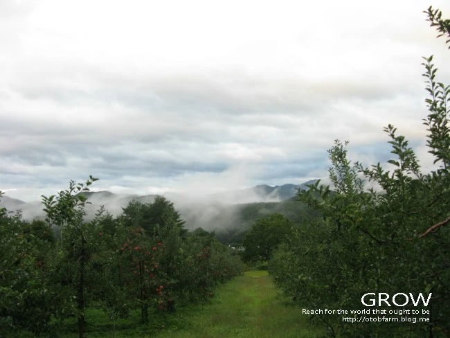 IMG_6782.JPG?type=w2