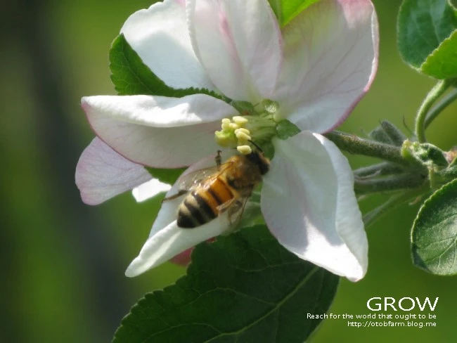 IMG_7192.JPG?type=w2