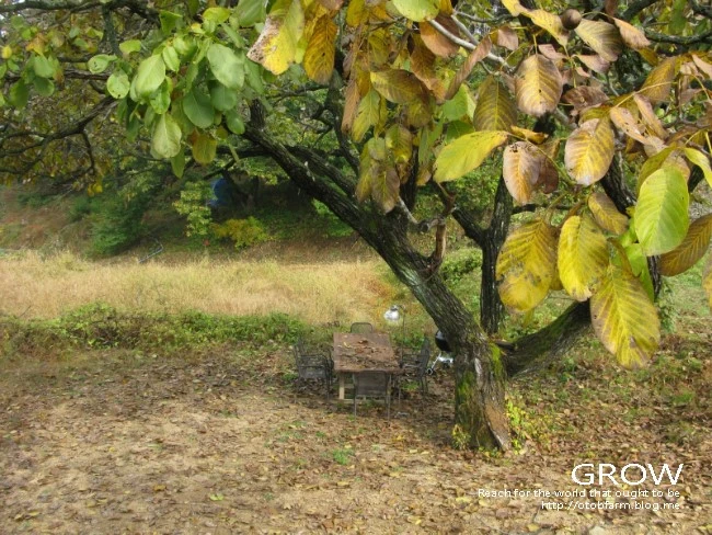 IMG_6293.JPG?type=w2