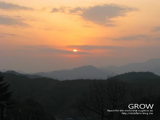 IMG_7168.JPG?type=w2