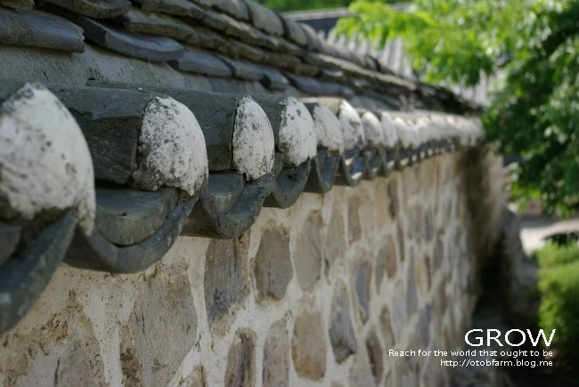 %B0%ED%C3%A2_%BC%B1%BF%F8%BB%E7%2807.5.10%29_011.jpg?type=w2