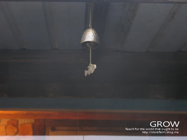 IMG_6832.JPG?type=w2