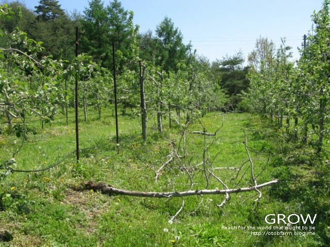 IMG_7207.JPG?type=w2