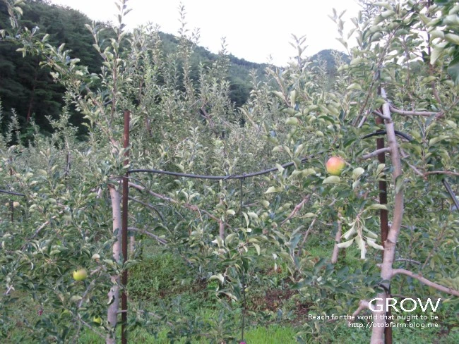 IMG_6747.JPG?type=w2