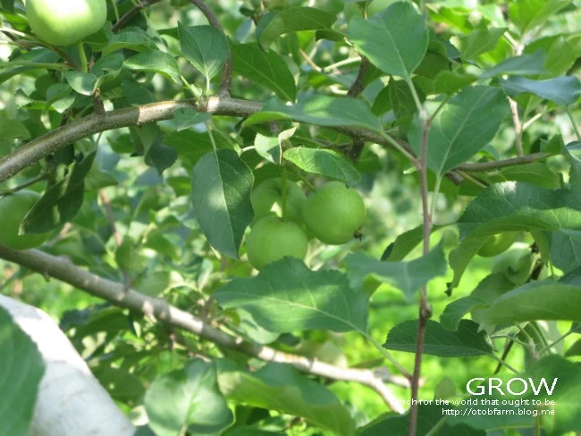 IMG_7254.JPG?type=w2