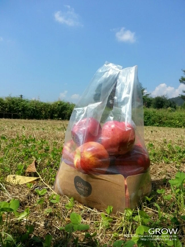 1410264408373.jpeg?type=w2