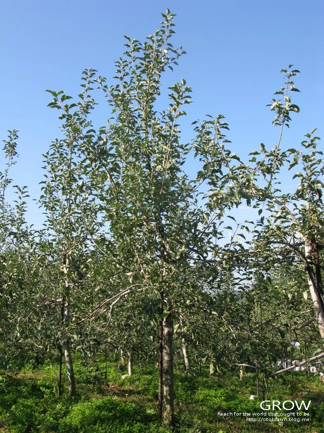 IMG_6810.JPG?type=w2