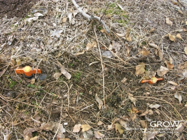 IMG_7402.JPG?type=w2