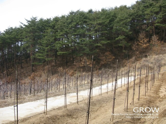 IMG_7143.JPG?type=w2