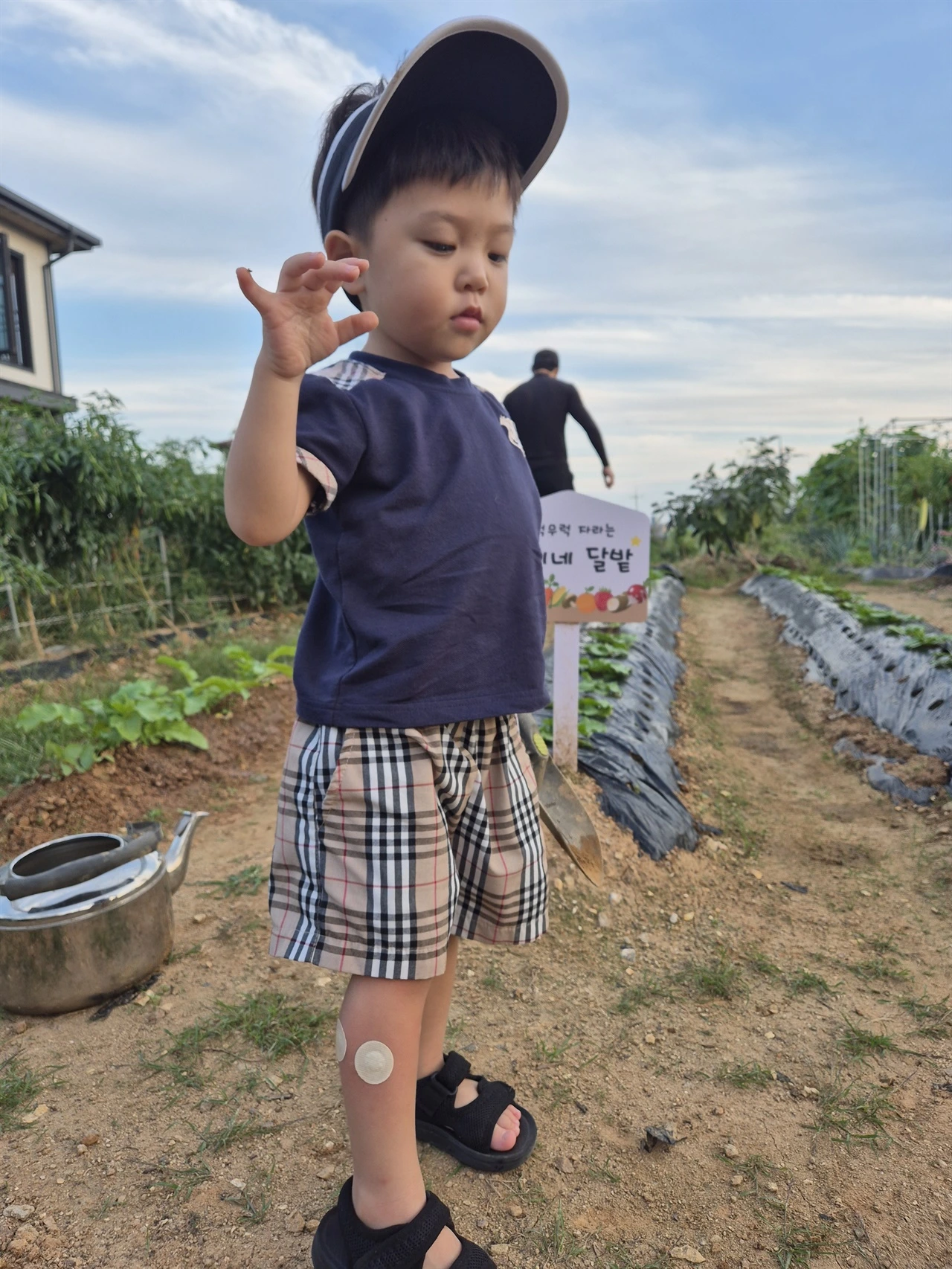 IE003521746_STD.jpg?20250911230023