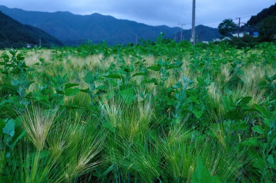 DSC_8889_9213.JPG?type=w1