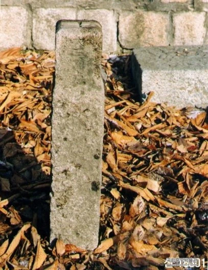 ?src=%22https%3A%2F%2Fdbscthumb-phinf.pstatic.net%2F5920_000_1%2F20220301081844165_A85MHDTFU.jpg%2FPS01001001011018.jpg%3Ftype%3Dw690_fst_nmk%26wm%3DY%22&twidth=407&theight=530&opts=17