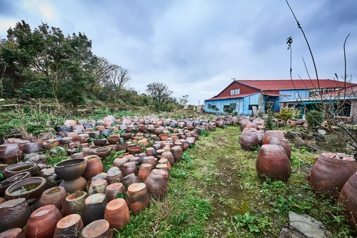 2517345_image2_1.jpg?type=m4500_4500_fst&wm=N