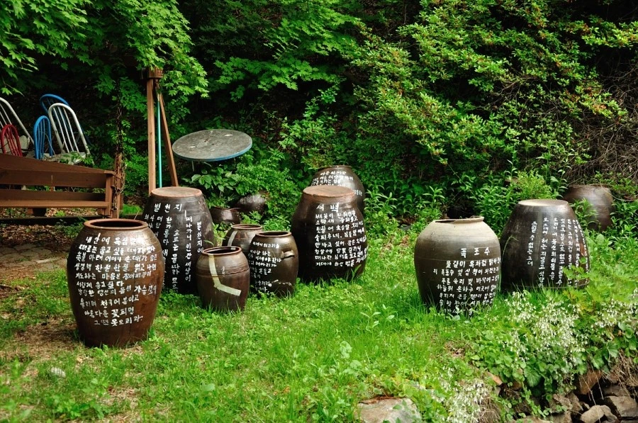 DSC_0389.JPG?type=w966