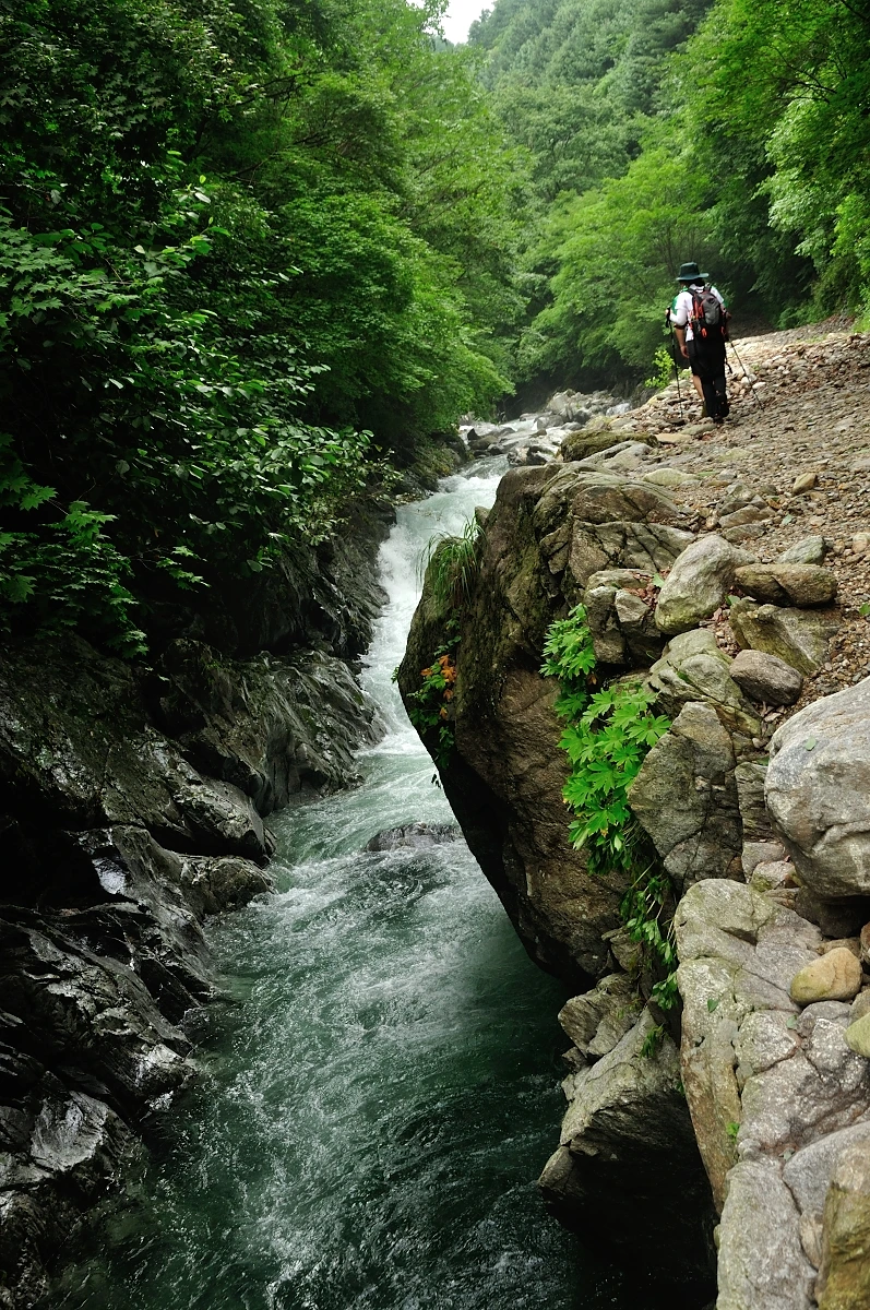 DSC_8218.JPG?type=w1