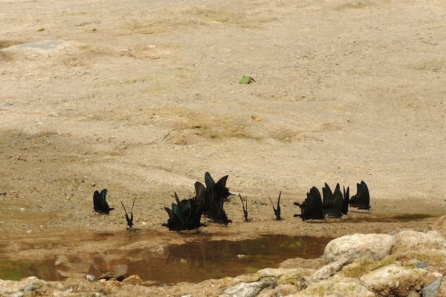 DSC_8221.JPG?type=w1