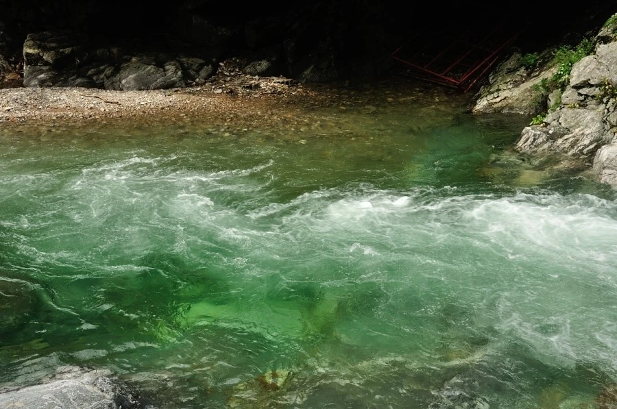 DSC_8192.JPG?type=w1