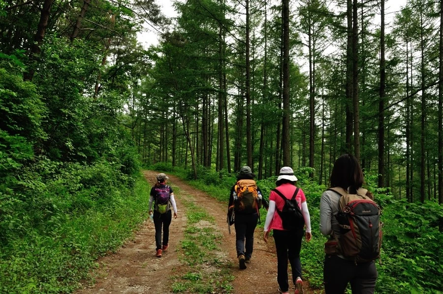 DSC_0327.JPG?type=w966