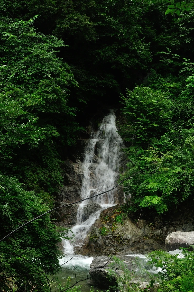 DSC_8312.JPG?type=w1