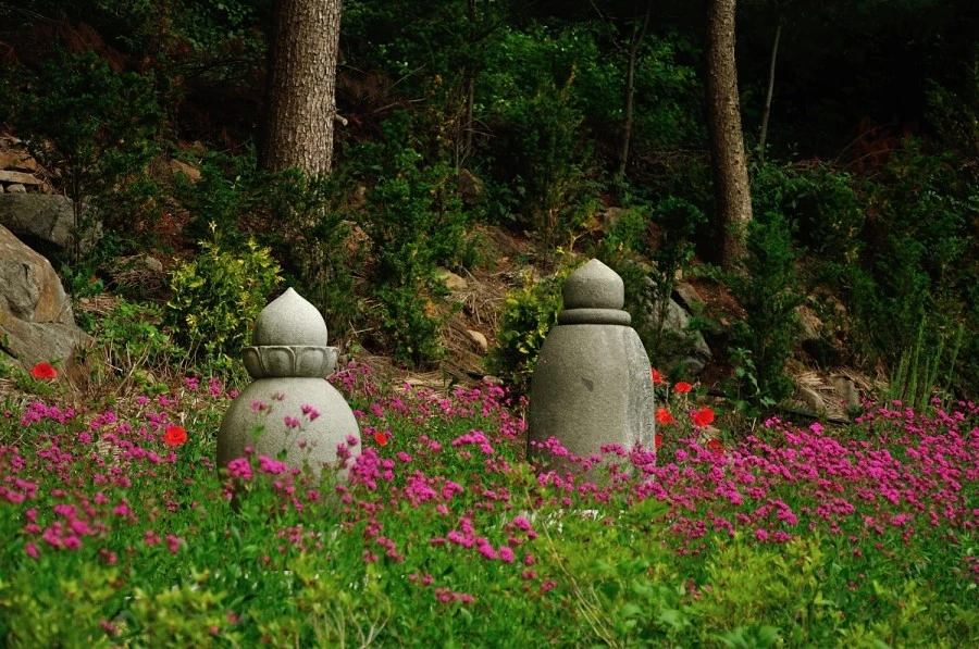 DSC_0300.JPG?type=w966