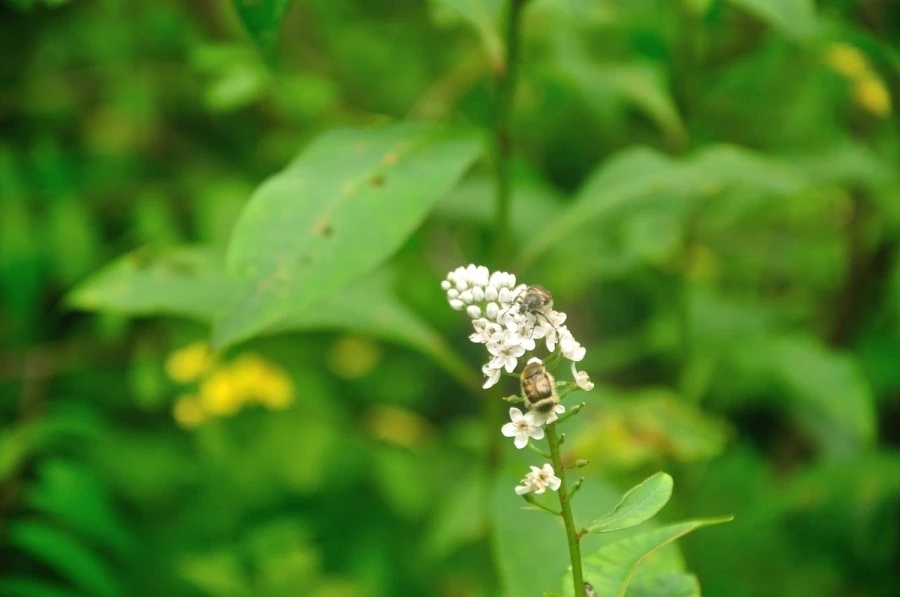 DSC_8258.JPG?type=w1