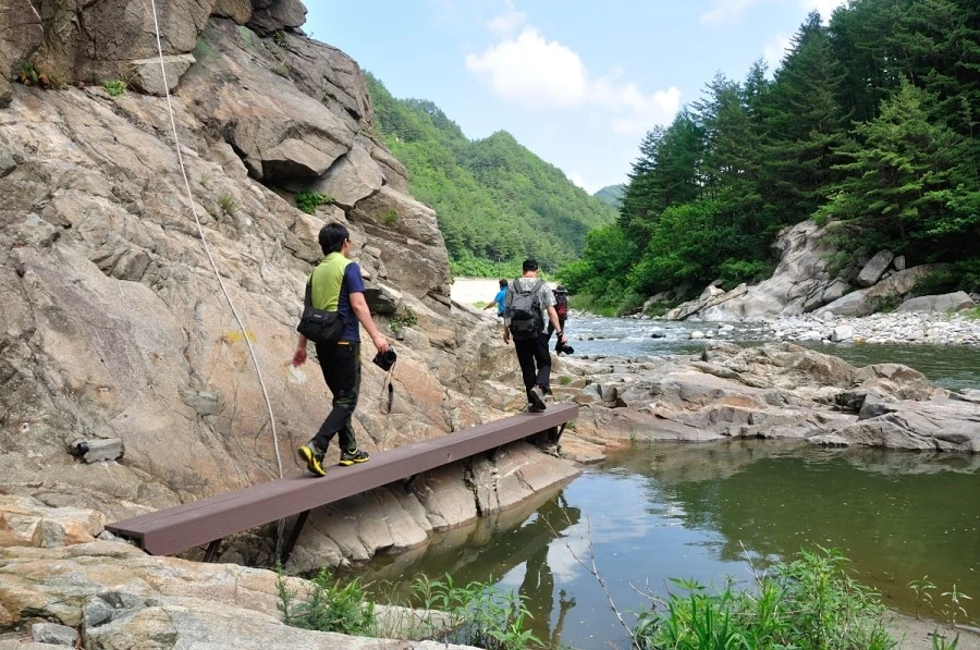 DSC_9727_9980.JPG?type=w1