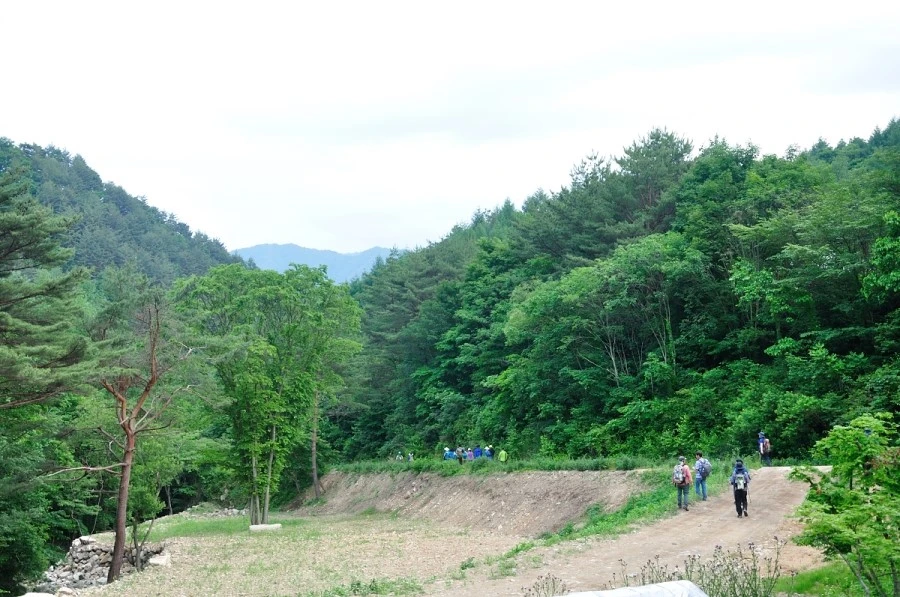 DSC_8803_9129.JPG?type=w1