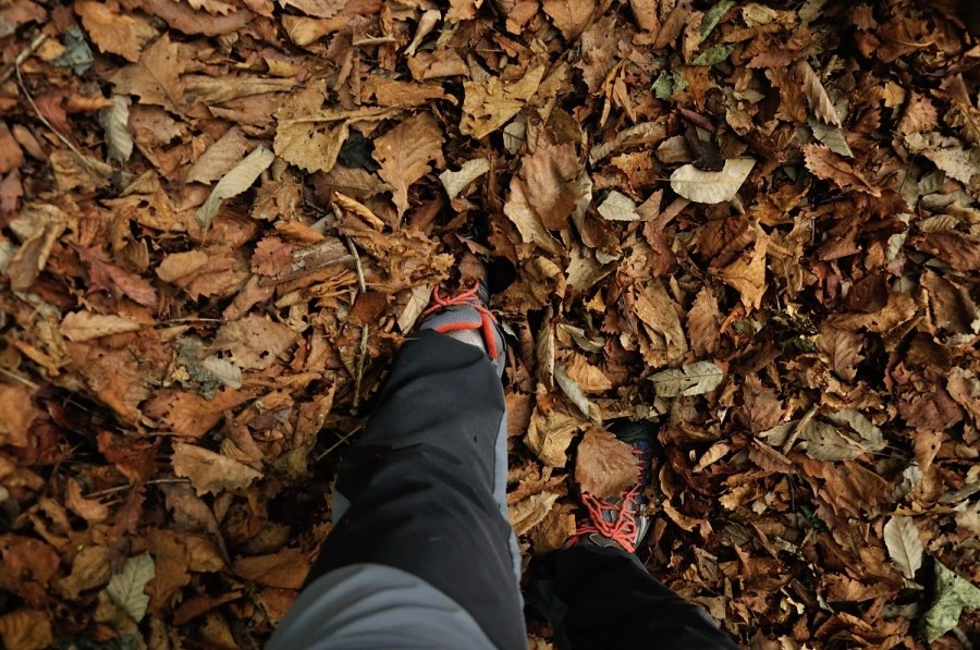 DSC_8778_9104.JPG?type=w1