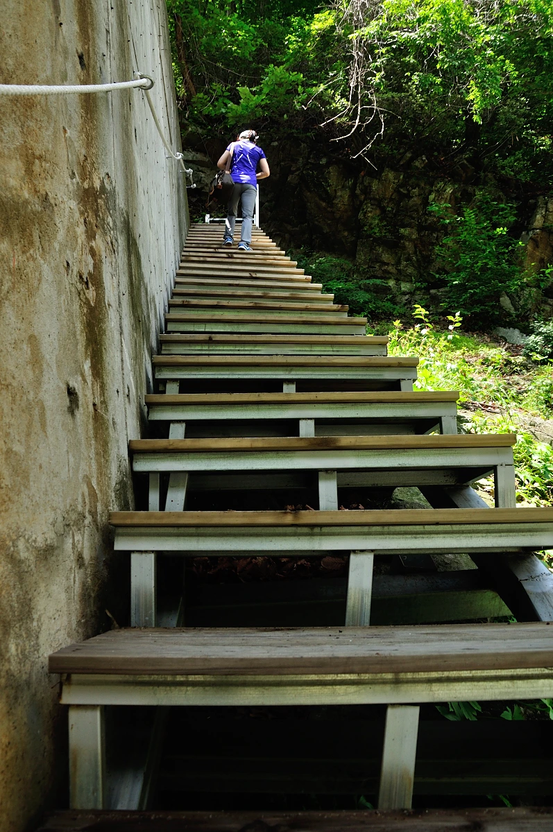 DSC_9763_10015.JPG?type=w1