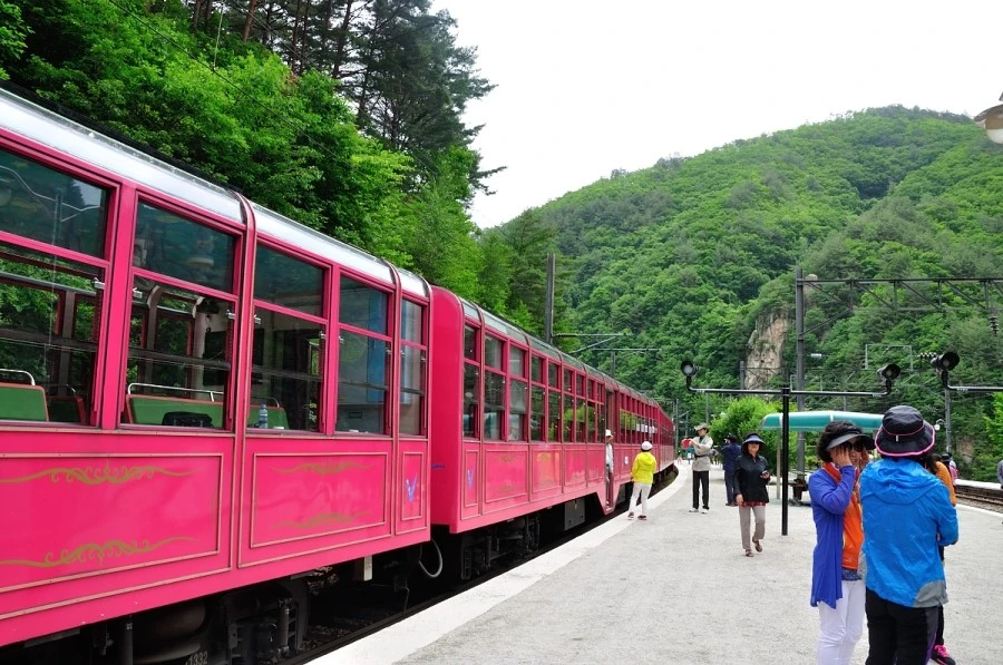 DSC_8618_8944.JPG?type=w1