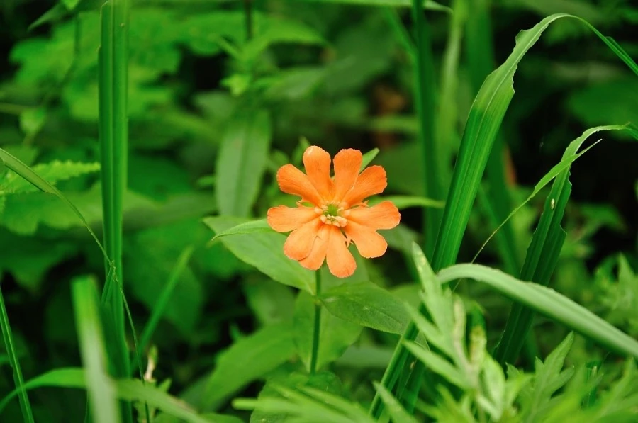 DSC_8283.JPG?type=w1