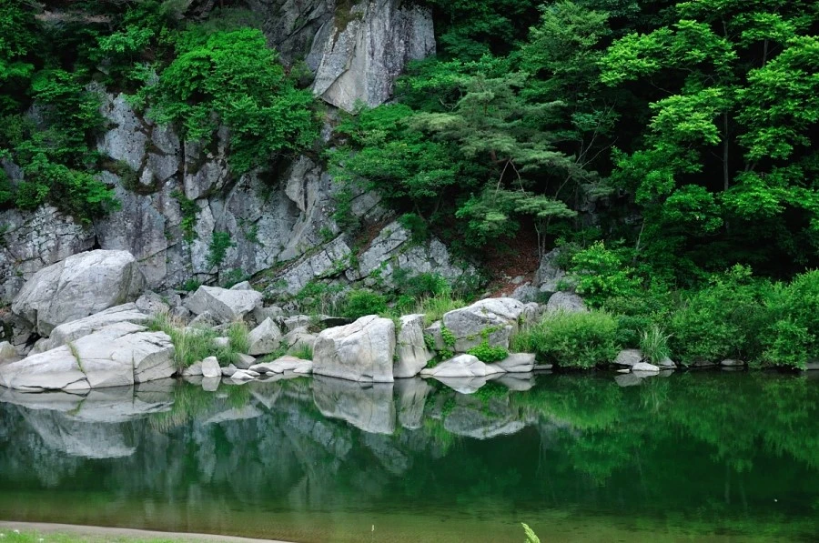 DSC_8852_9176.JPG?type=w1