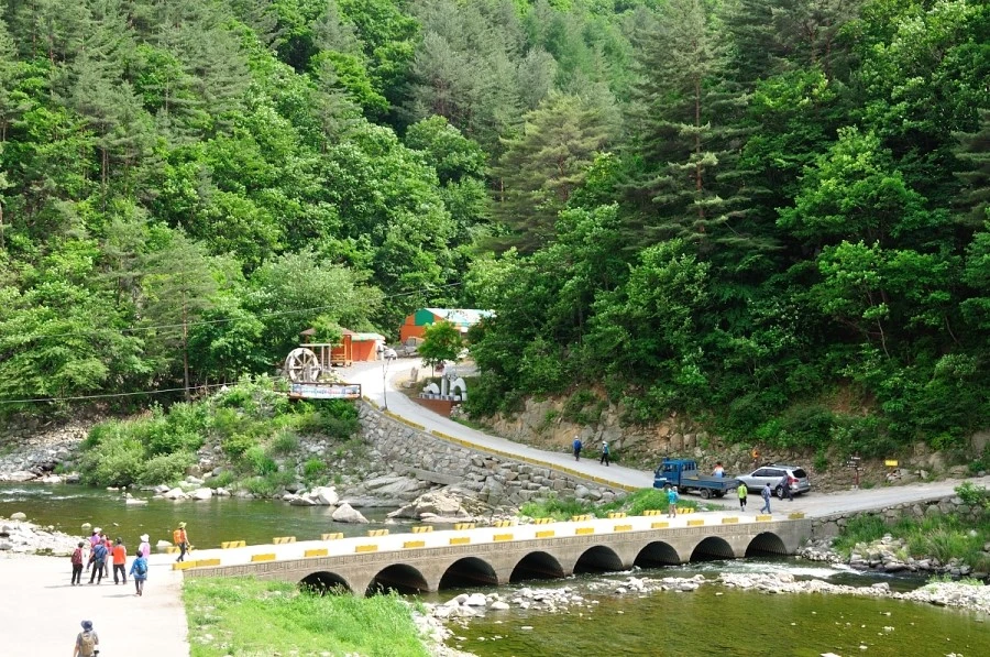 DSC_8719_9045.JPG?type=w1