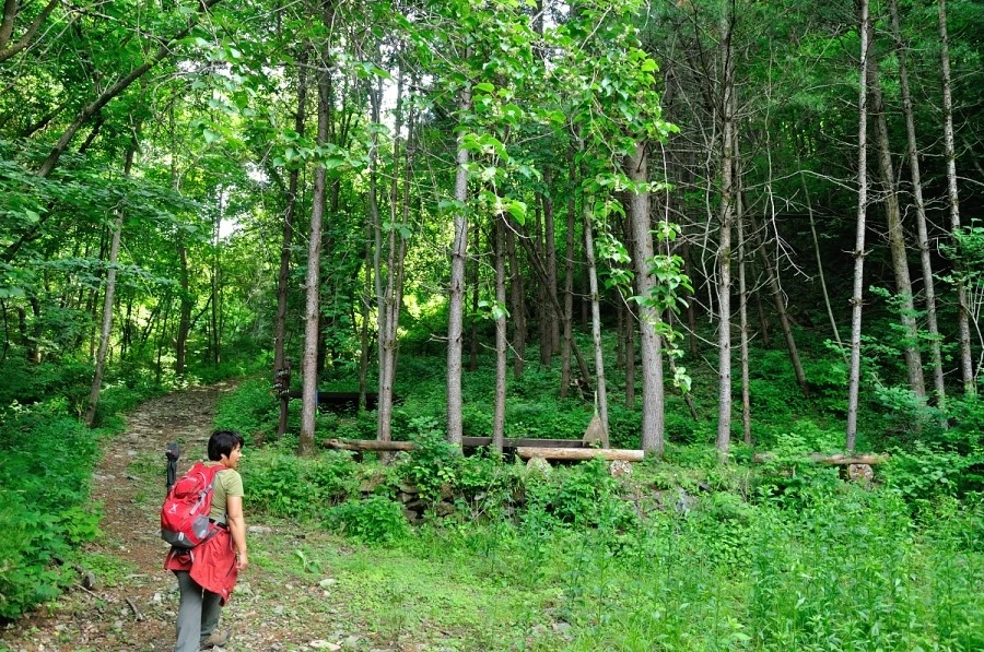 DSC_8745_9071.JPG?type=w1