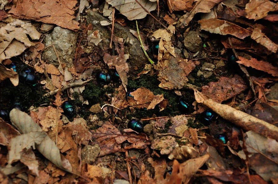 DSC_8775_9101.JPG?type=w1