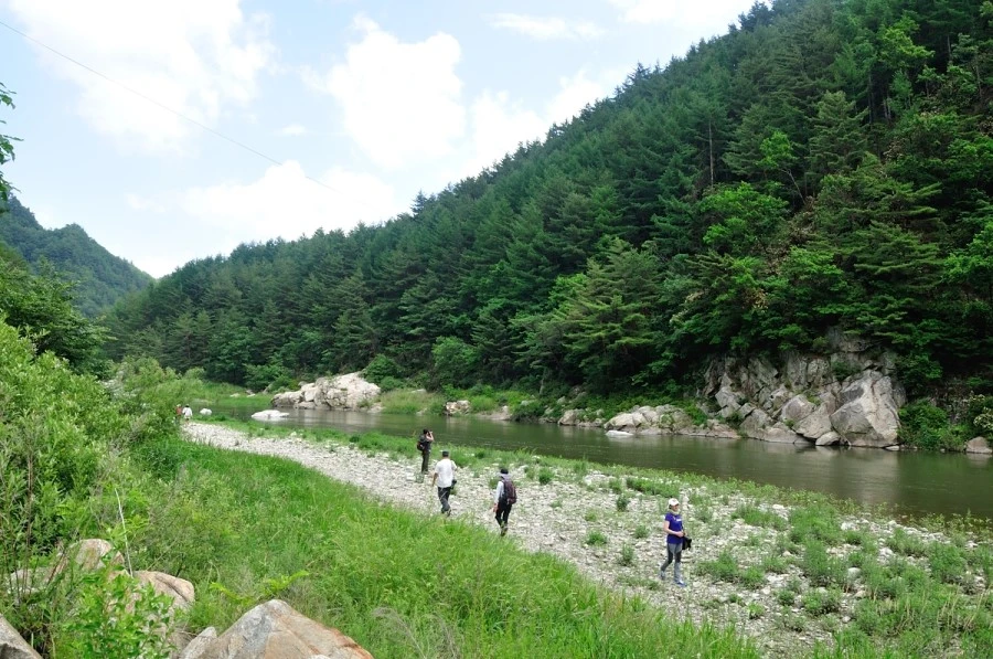 DSC_9721_9974.JPG?type=w1