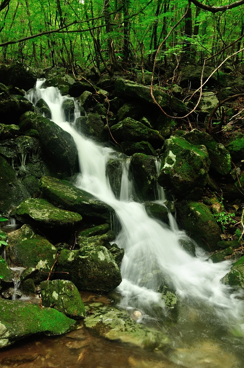 DSC_8237.JPG?type=w1