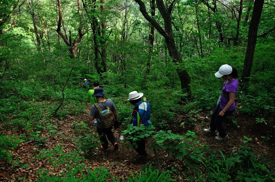 DSC_8769_9095.JPG?type=w1