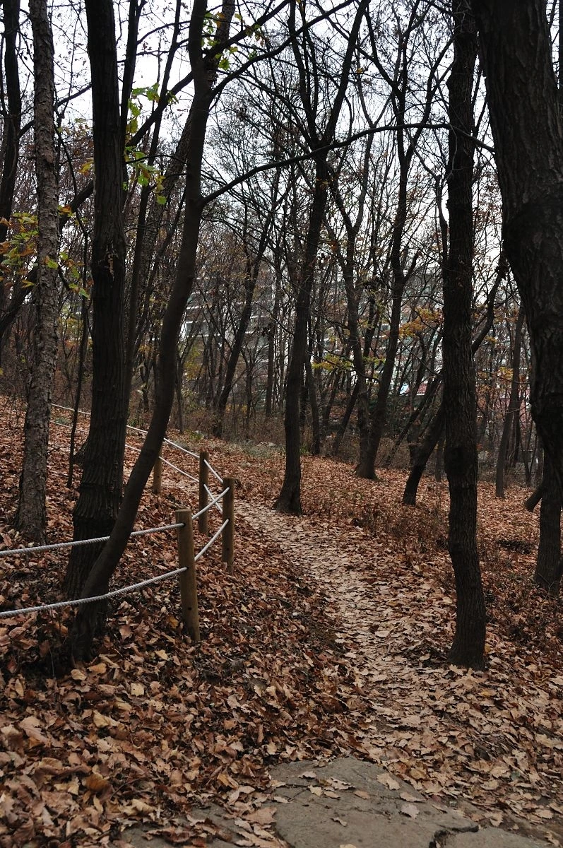 사진10_2 방배근린공원 숲길.JPG