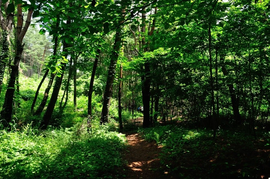 DSC_9741_9994.JPG?type=w1