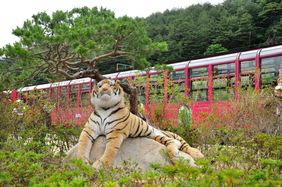 DSC_8673_8999.JPG?type=w1