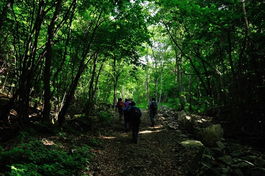 DSC_8752_9078.JPG?type=w1