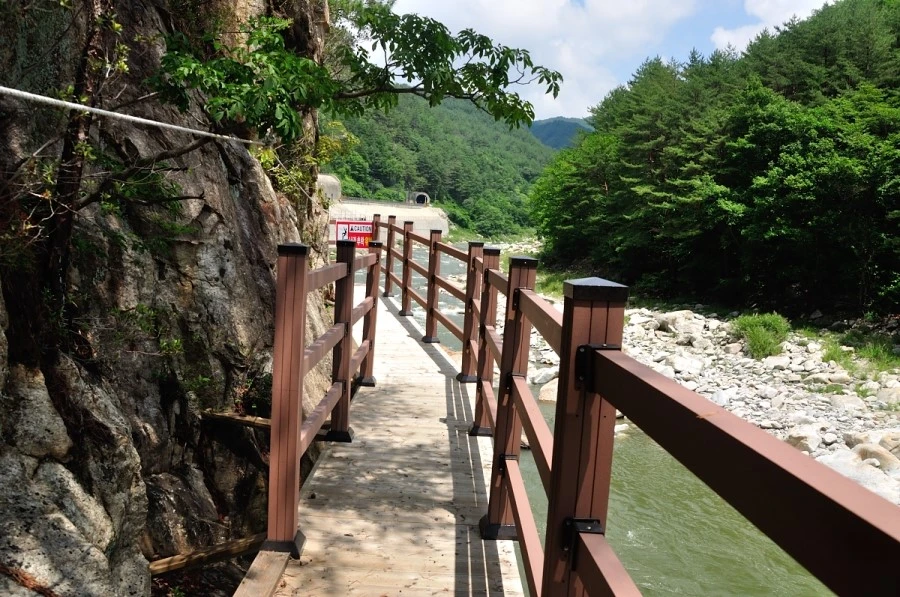 DSC_9784_10035.JPG?type=w1