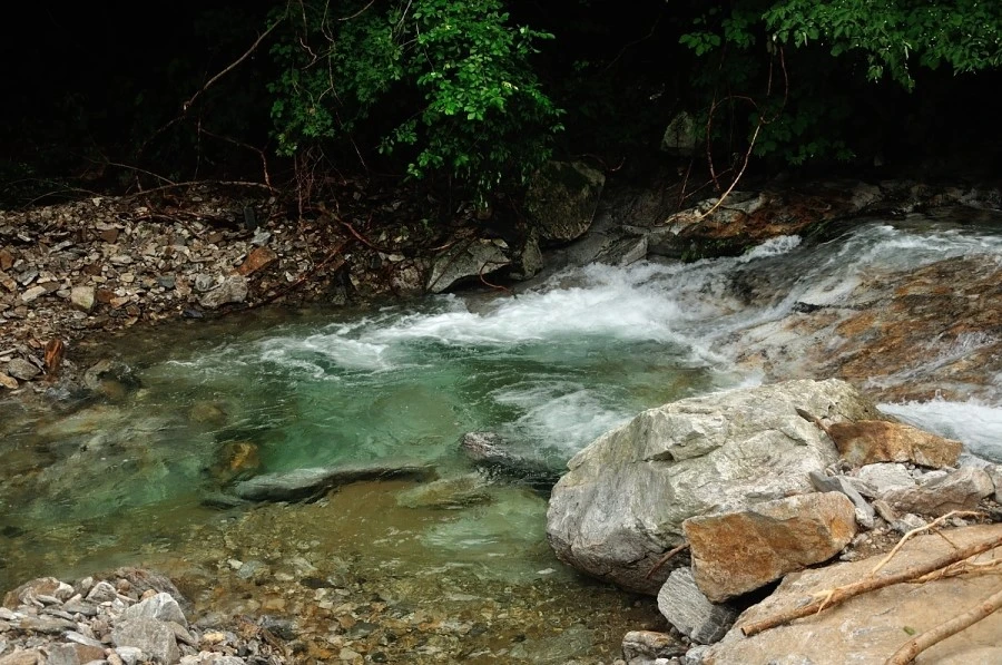 DSC_8300.JPG?type=w1