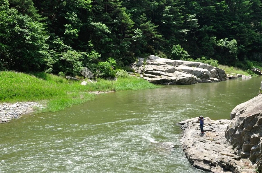 DSC_9733_9986.JPG?type=w1